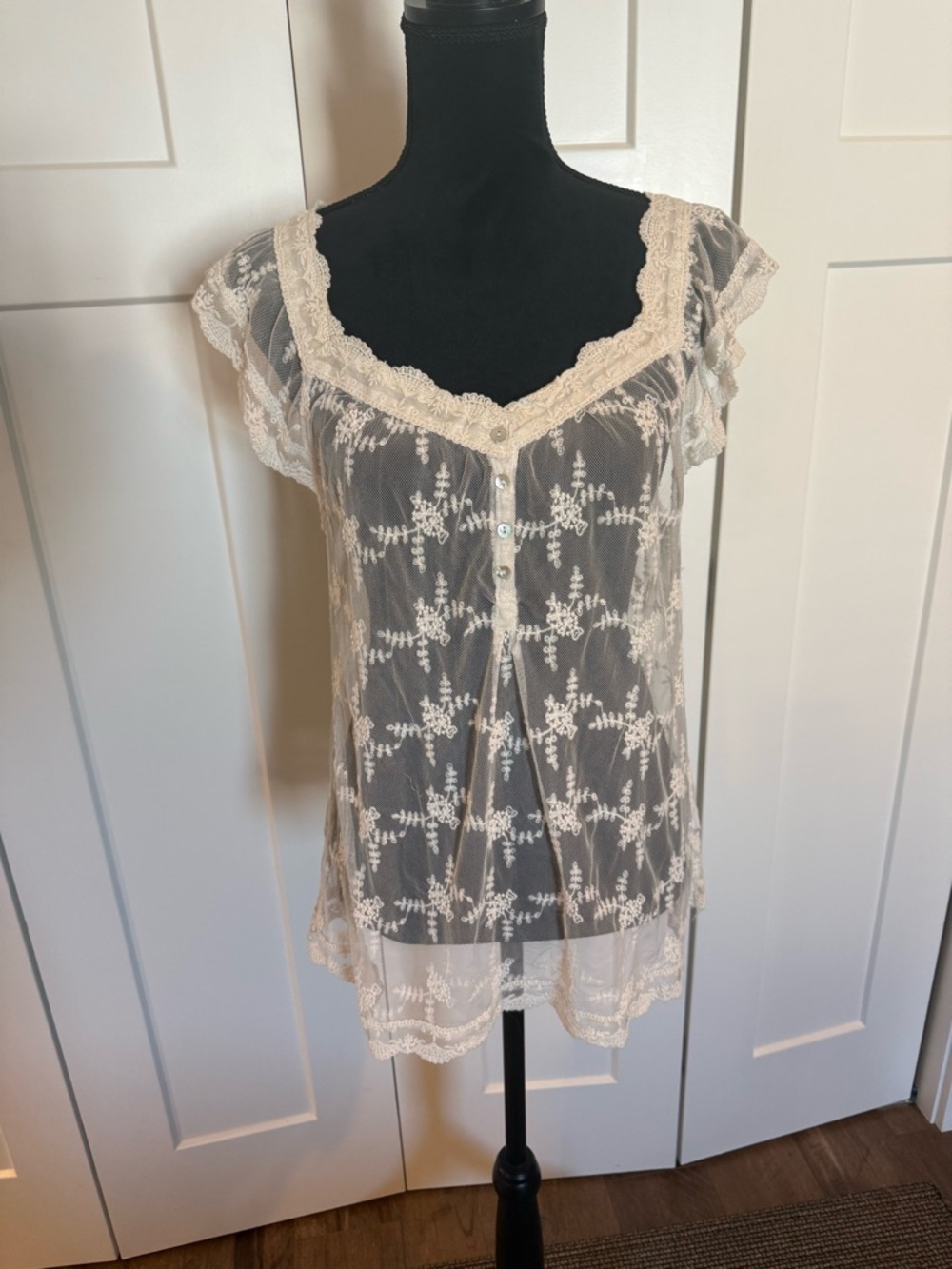 Jack by BB Dakota Cream Sheer Lace Button-Front Blouse